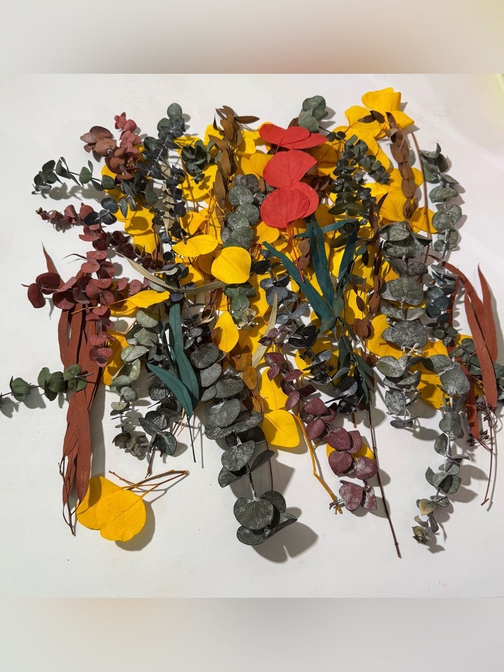 Mixed Dried Eucalyptus and Preserved Floral Stems - Yellow, Green, Red, Brown - Picture 2 of 5